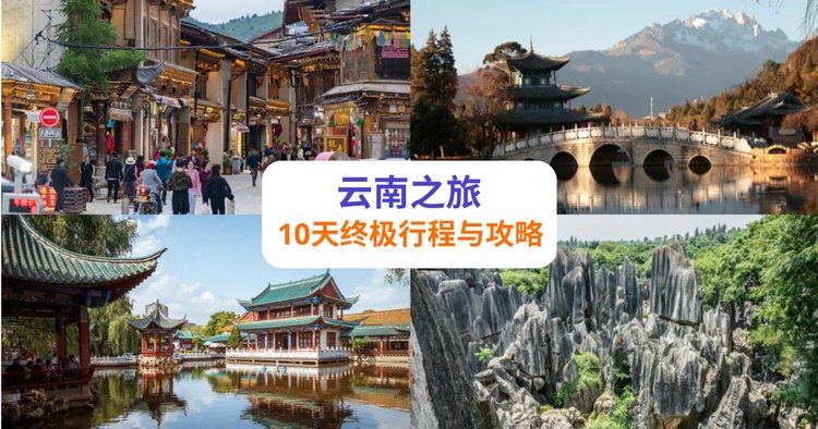 糖心vlog-云南大理旅行记录，洱海骑行的治愈瞬间